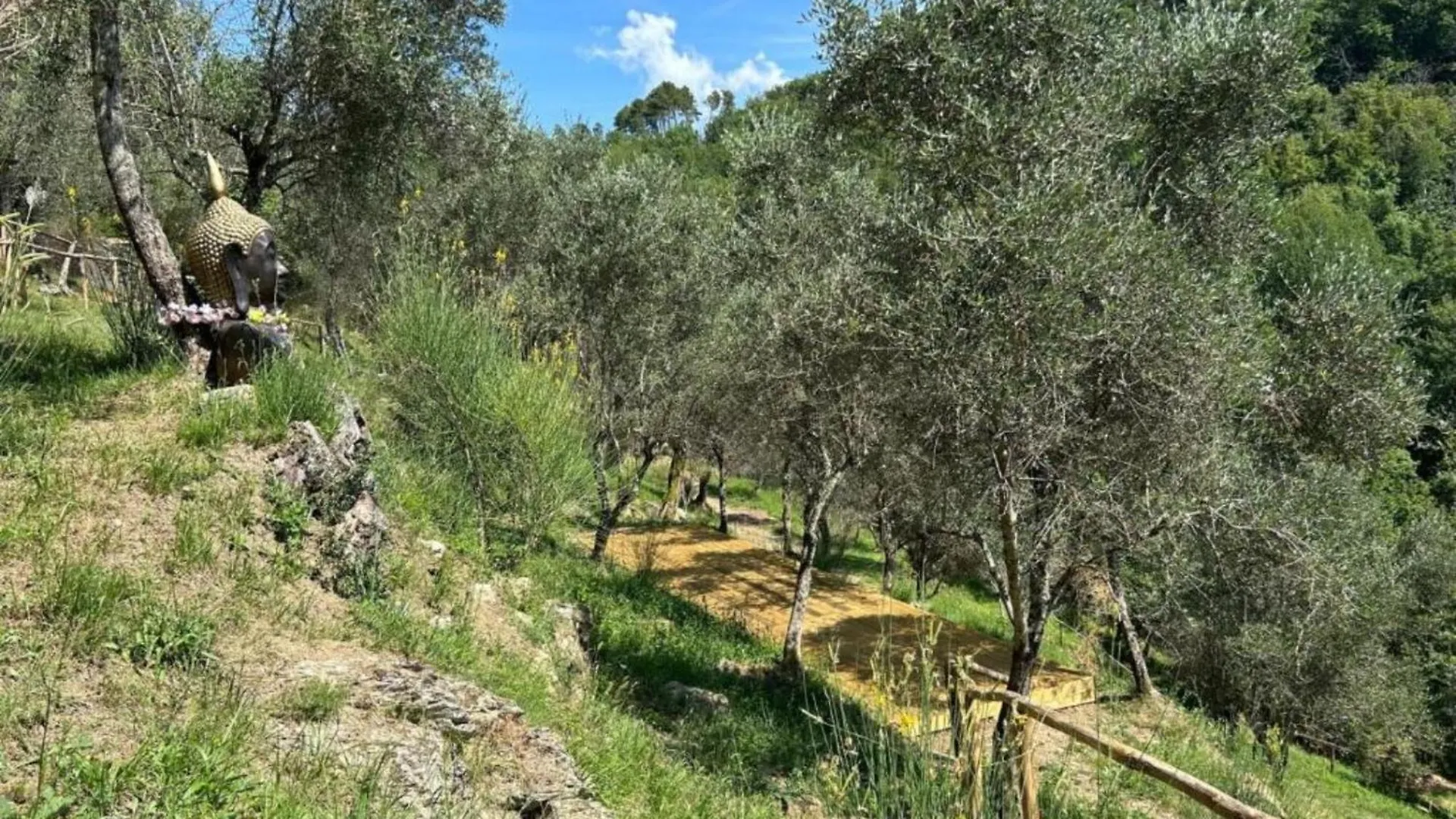 Glamping A Castel Dell'Aquila Hotel Gragnola 0*,  Italy